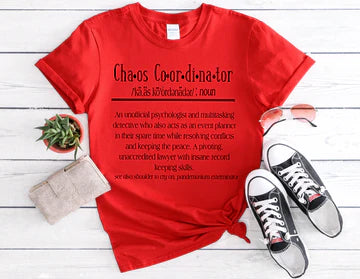 Chaos Coordinator Definition